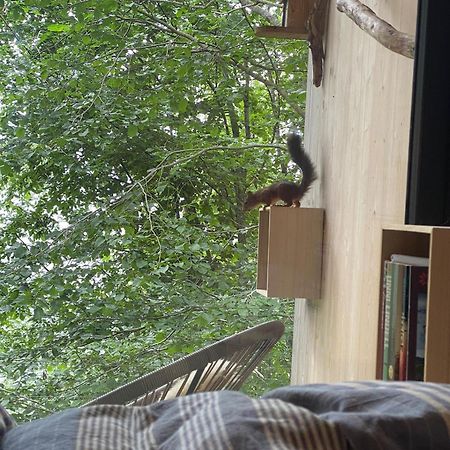 Treehut, Nature, Birds, Silence And Fjord Samlanes المظهر الخارجي الصورة