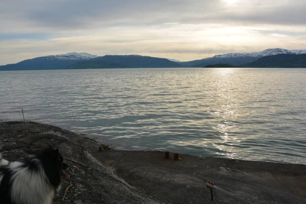 Treehut, Nature, Birds, Silence And Fjord Samlanes المظهر الخارجي الصورة
