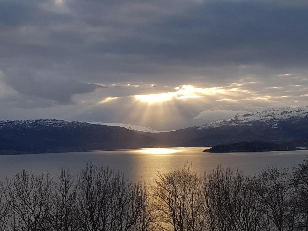 Treehut, Nature, Birds, Silence And Fjord Samlanes المظهر الخارجي الصورة