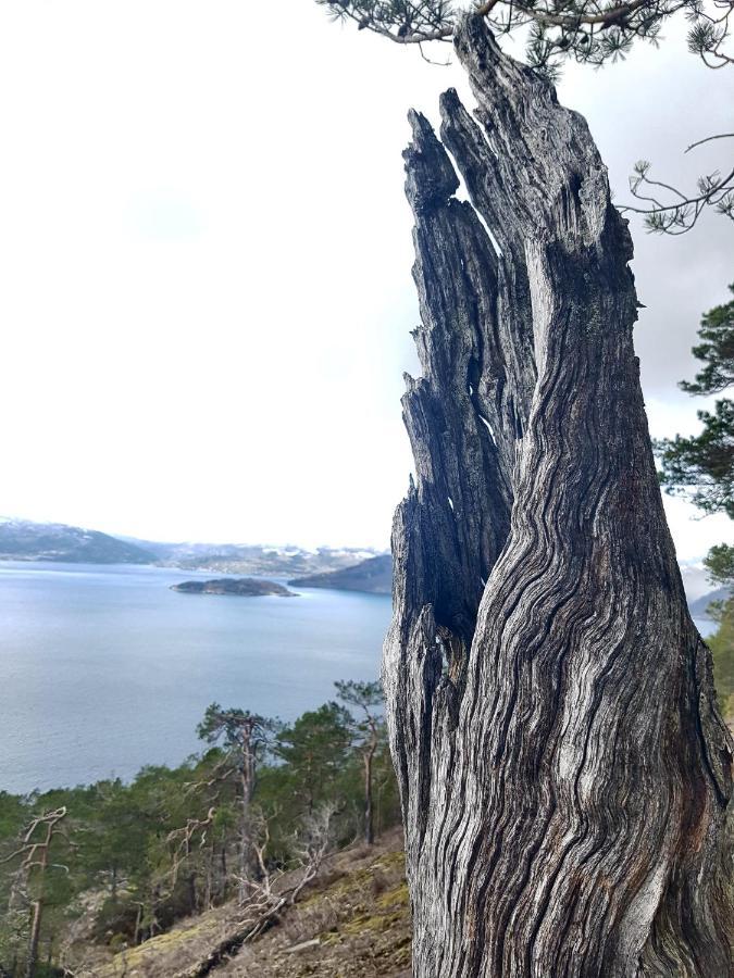Treehut, Nature, Birds, Silence And Fjord Samlanes المظهر الخارجي الصورة