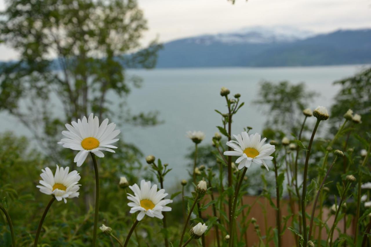 Treehut, Nature, Birds, Silence And Fjord Samlanes المظهر الخارجي الصورة