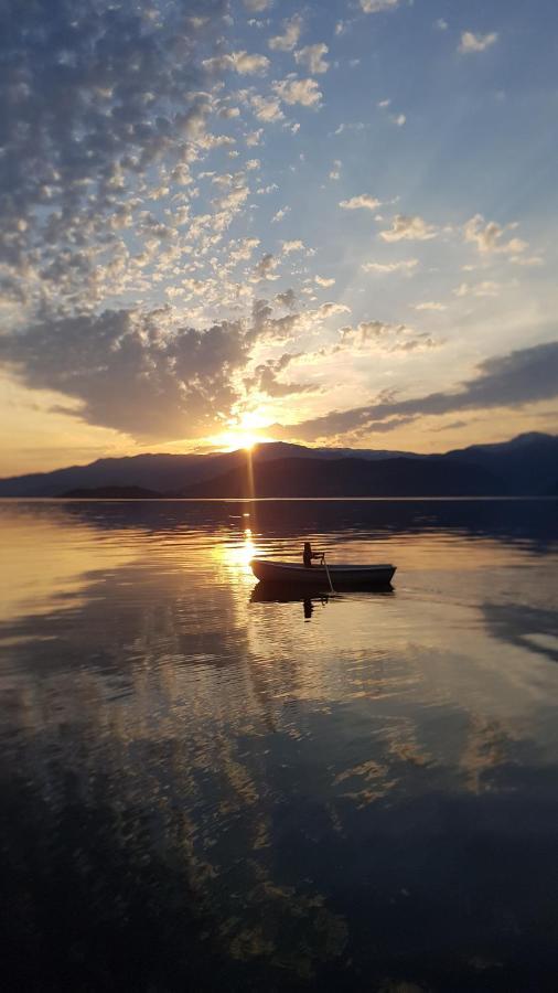 Treehut, Nature, Birds, Silence And Fjord Samlanes المظهر الخارجي الصورة