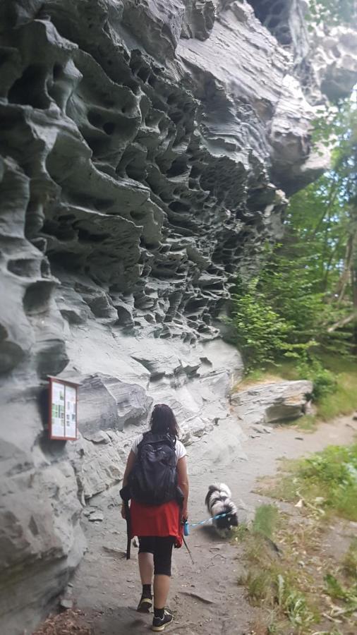 Treehut, Nature, Birds, Silence And Fjord Samlanes المظهر الخارجي الصورة