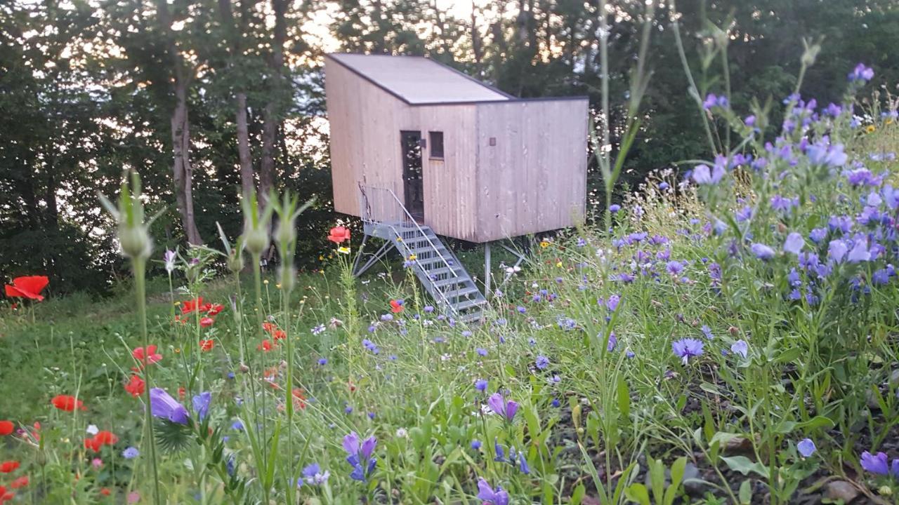 Treehut, Nature, Birds, Silence And Fjord Samlanes المظهر الخارجي الصورة