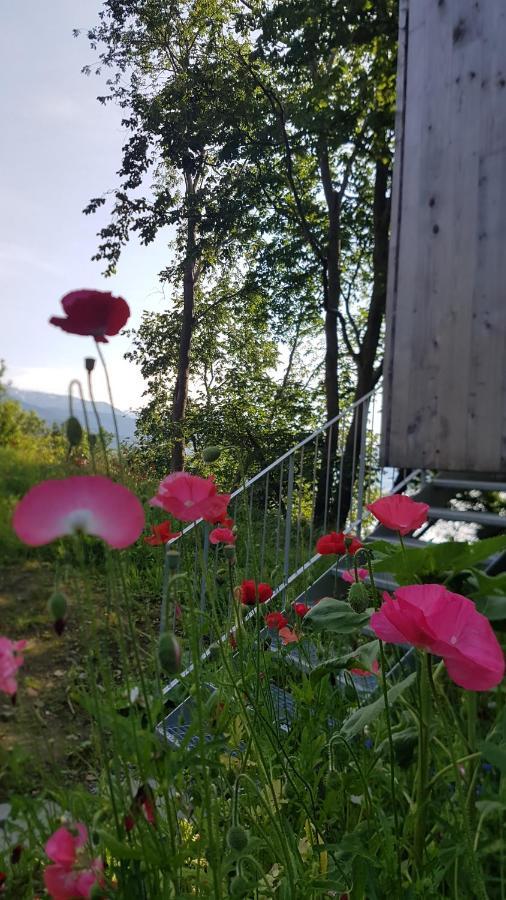 Treehut, Nature, Birds, Silence And Fjord Samlanes المظهر الخارجي الصورة